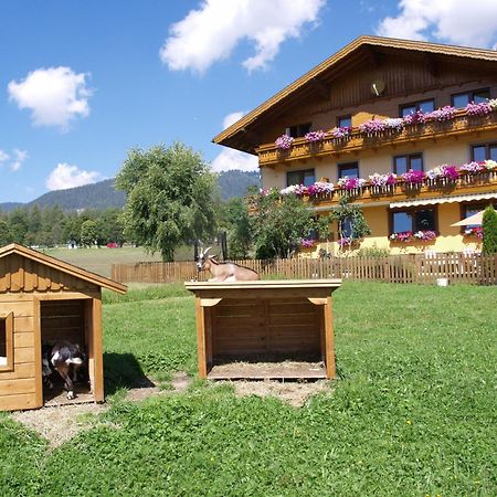 Ferienwohnung Alpenecho Ramsau am Dachstein Exterior photo