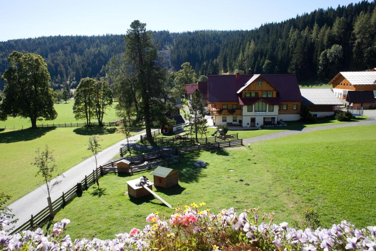 Ferienwohnung Alpenecho Ramsau am Dachstein Exterior photo